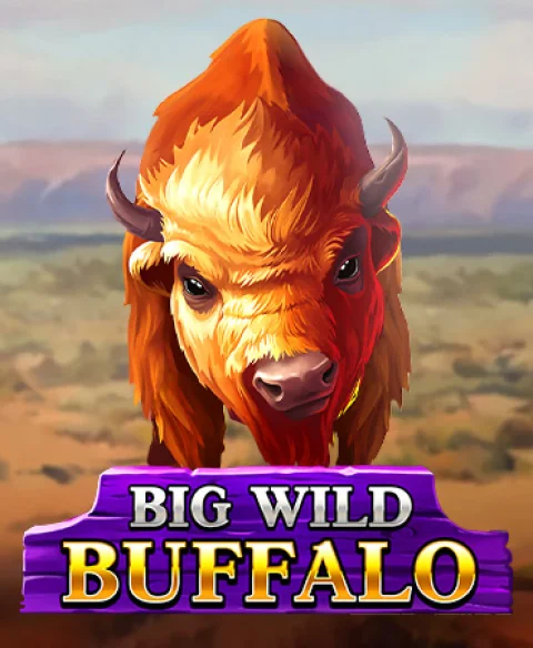 Play Big Wild Buffalo at Edge Less Casino